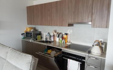 Wohnung 2 Zimmer - image - 2