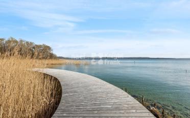 Villa 10 Zimmer - image - 7