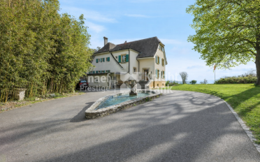 Villa 10 Zimmer - image - 1