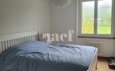 Wohnung 3 Zimmer - image - 6