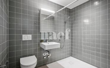Appartement 2.5 pièces - image - 2