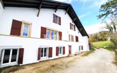 Wohnung 3.5 Zimmer - image - 1