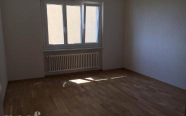 Wohnung 3 Zimmer - image - 5