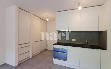 Apartment 1 room - image - 4