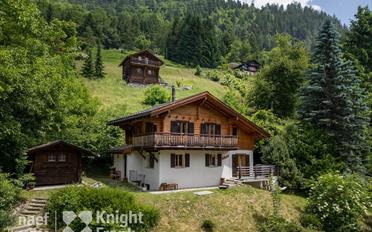 Chalet 4 rooms - image - 1