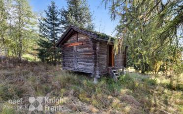 Chalet ein Zimmer - image - 2