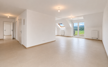 Dachwohnung 4.5 Zimmer - image - 2