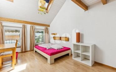 Doppeleinfamilienhaus 6.5 Zimmer - image - 11