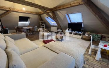Loft 1 pièce - image - 1