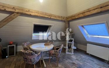 Loft 1 pièce - image - 2