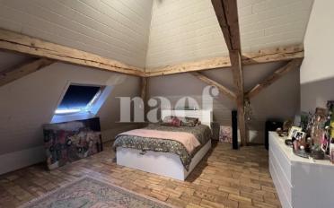 Loft 1 pièce - image - 4