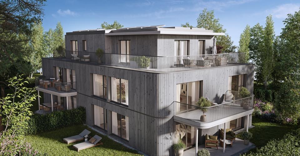 Plan-les-Ouates