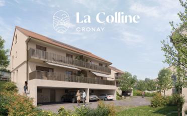 Villa 5.5 pièces - image - 5