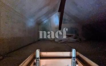 Apartment 2.5 rooms - image - 8