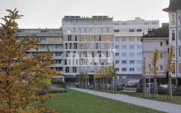 Office - image - 1
