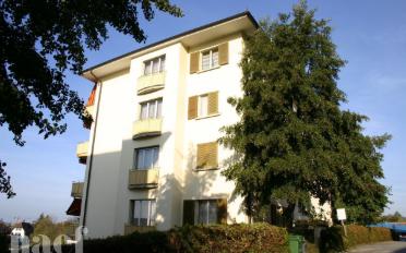 Wohnung 4.5 Zimmer - image - 2