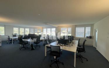 Büro 4 Zimmer - image - 4