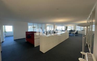 Büro 2 Zimmer - image - 3