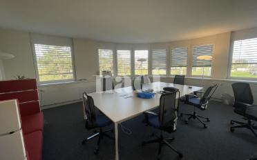 Büro 2 Zimmer - image - 5