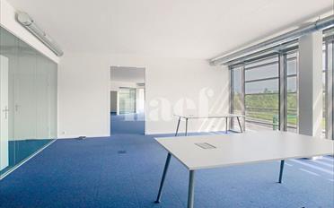 Bureau 4 pièces - image - 7