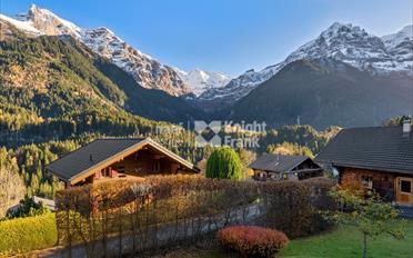 Chalet 12.5 rooms - image - 4
