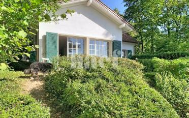 Einfamilienhaus 5.5 Zimmer - image - 1