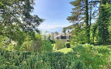 Einfamilienhaus 5.5 Zimmer - image - 3