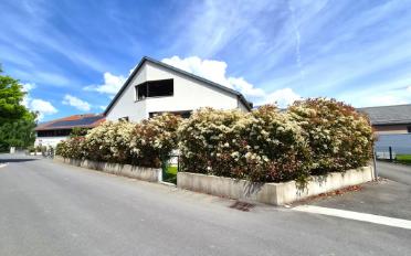 Wohnung 4.5 Zimmer - image - 2