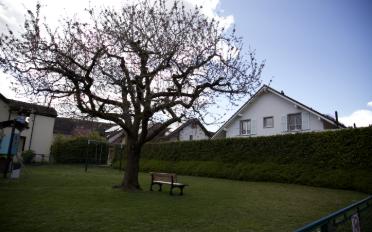 Bifamiliar house - image - 4
