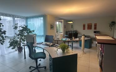 Appartement 3.5 pièces - image - 2