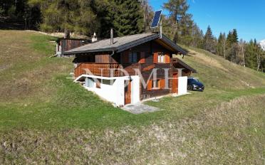 Chalet 4 Zimmer - image - 1