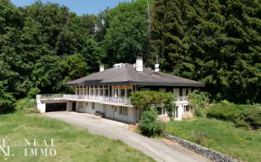 Single house 10 rooms - image - 1