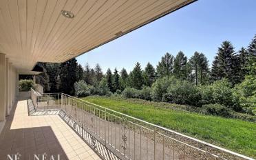 Single house 10 rooms - image - 7