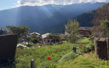 Bauland - image - 1