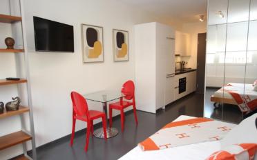 Furnished flat 1 room - image - 1