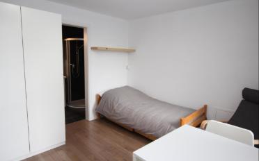 Appartement meublé 1.5 pièces - image - 3
