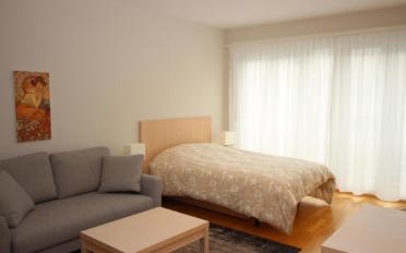 Furnished flat 1 room - image - 2