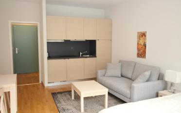 Furnished flat 1 room - image - 3