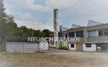 Immeuble mixte - image - 1