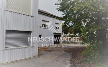 Gemischt genutzte Immobilie - image - 6