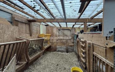 Einfamilienhaus 10 Zimmer - image - 3