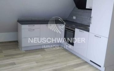 Single house 12.5 rooms - image - 4