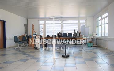 Ladenfläche ein Zimmer - image - 2