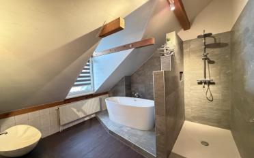 Bifamiliar house 15.5 rooms - image - 10