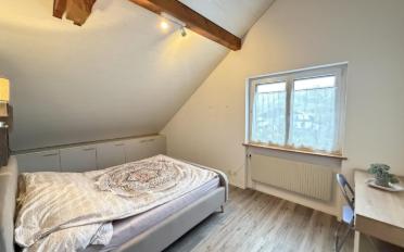 Bifamiliar house 15.5 rooms - image - 12