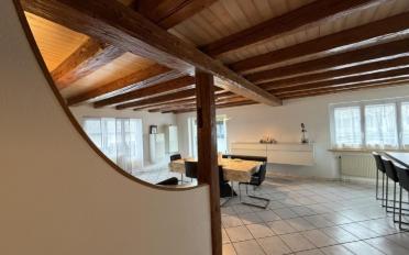 Bifamiliar house 15.5 rooms - image - 4