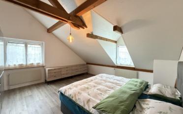 Bifamiliar house 15.5 rooms - image - 13