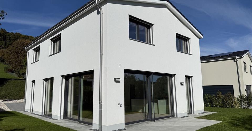 Maison neuve de 5.5 pièces à vendre à Movelier