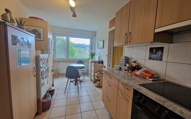 Wohnung 4.5 Zimmer - image - 5