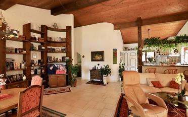 Villa 7 Zimmer - image - 7